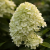 a134a7464746094d10cdf90097abbb8b.png