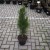 ff819402dfe279203f76abf9371acde3.jpg