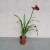 2ebffdac56f3c39a92862f057be7b376.jpg