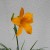fdcac9bc908fa98bd3e0849982bbcb49.jpg