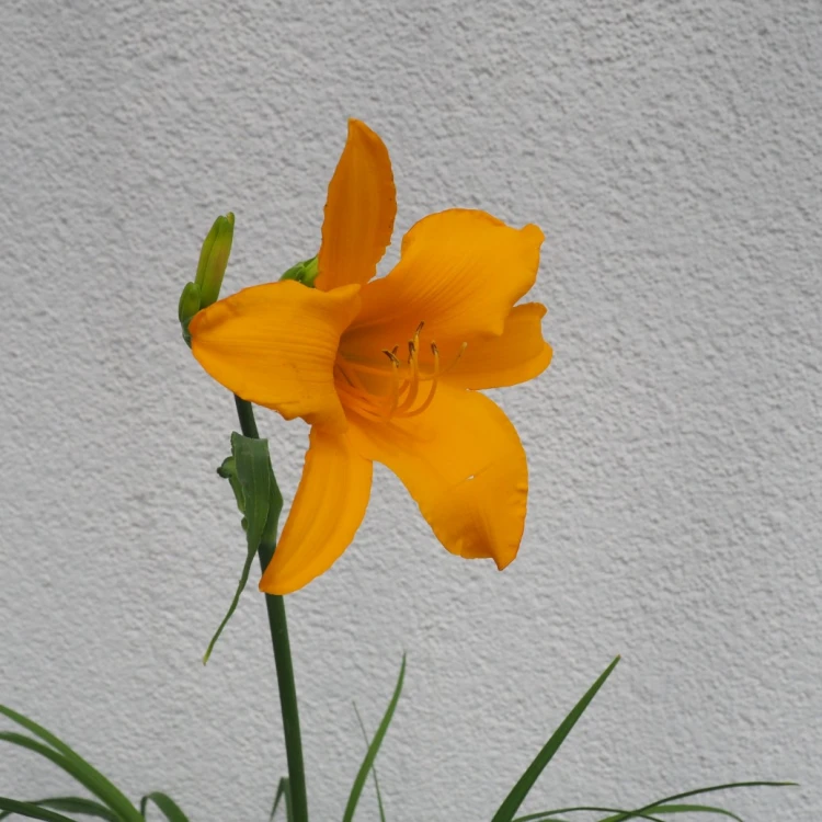 fdcac9bc908fa98bd3e0849982bbcb49.jpg