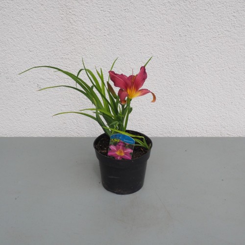 cf4d36c936e6784aab71fad65c92aadd.jpg