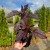 a989b1f766f600760f63bd9e0afea367.jpg