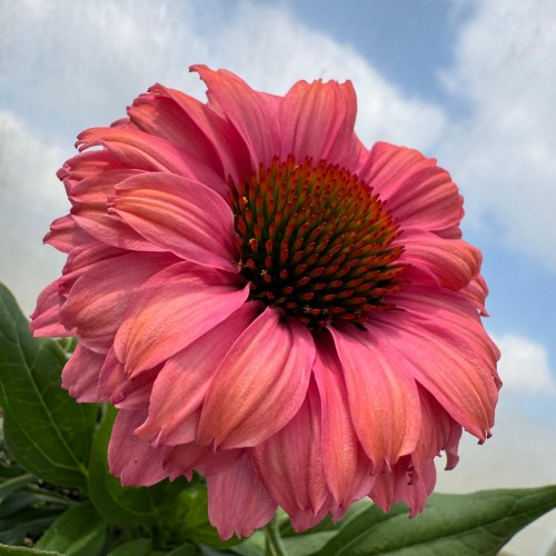 ee379f6e60bb1f3cfaa7d9098a1abf14.jpg
