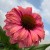ee379f6e60bb1f3cfaa7d9098a1abf14.jpg
