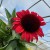 71482e6a266c6e775b6cace0a7252db2.jpg