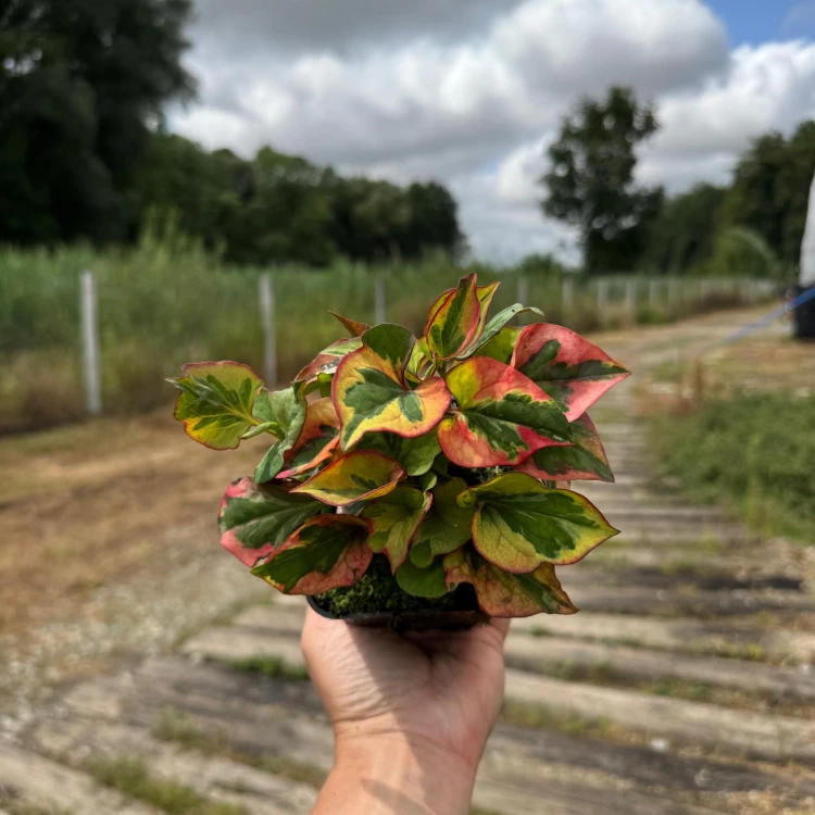 bdea8f9cc55e2537f9c7d70a4728e6fb.jpg