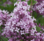 6c22bedc81f2a9c9882df73532e8623b.png