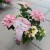 Hortensja hybrydowa French Bolero Pink 1L